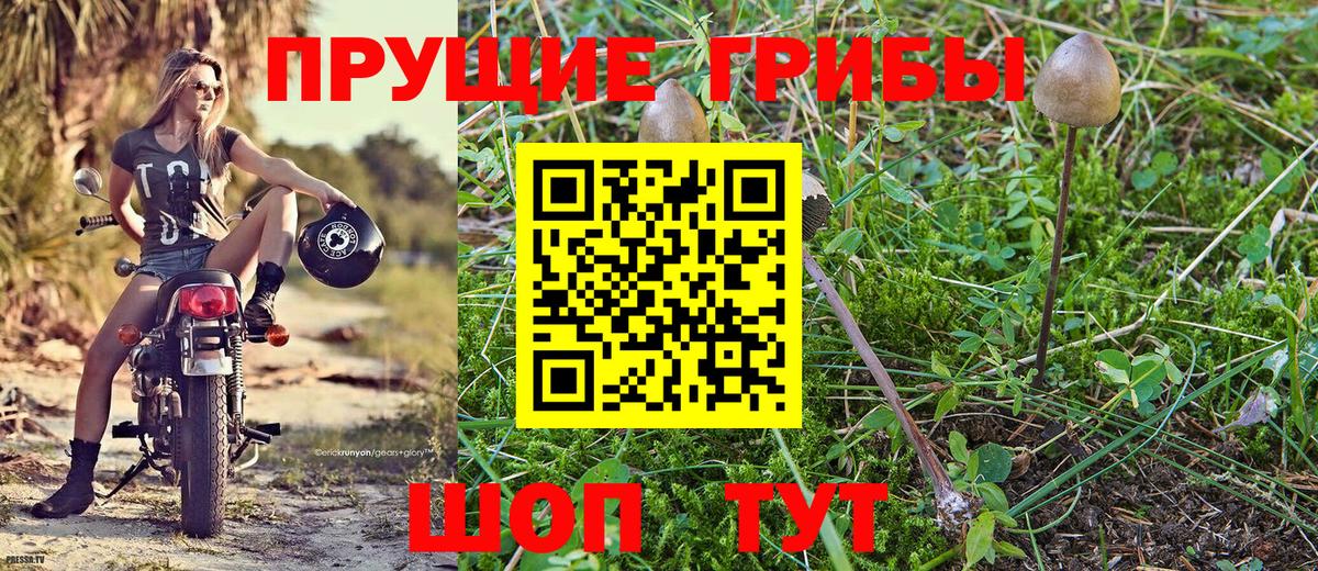 Железноводск  Псилоцибиновые грибы GOLDEN TEACHER  Галлюциногенные грибы GOLDEN TEACHER  Вход с VPN 